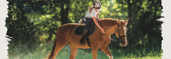 einstiegsbanner pferd pferdefutter muesli derby